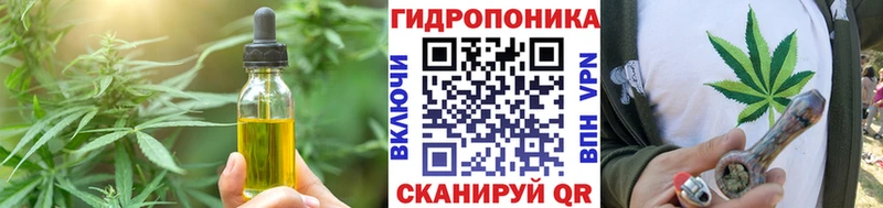 как найти Красавино блэк спрут зеркало Еда ТГК конопля