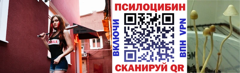 ссылка на мегу   Красавино  Псилоцибиновые грибы мицелий 
