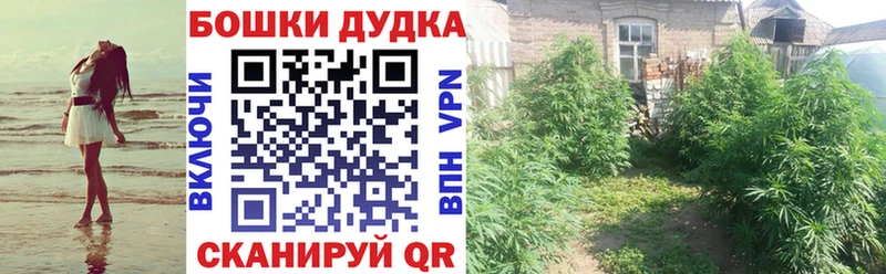 Конопля SATIVA & INDICA  Красавино 